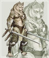 Wolf-warrior.jpg